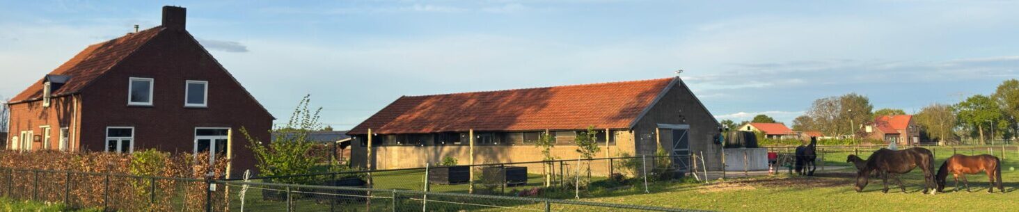 Koolen Stables